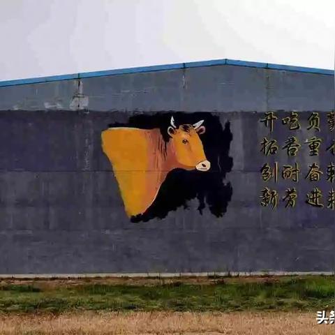 潞安180项目最新动态深度解析