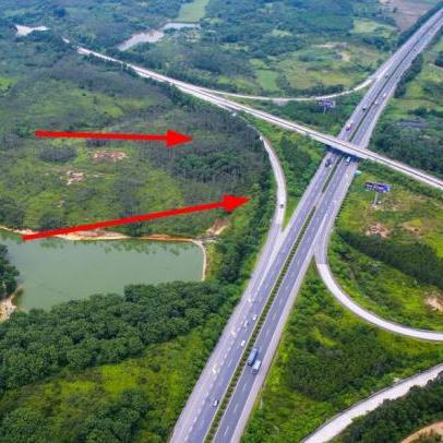 罗信高速钱排最新动态报道