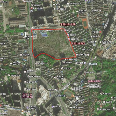 大小官山南侧生态新动态，恢复与可持续发展引领未来