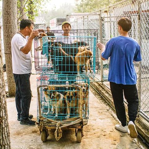 涿州小院最新房源出售信息