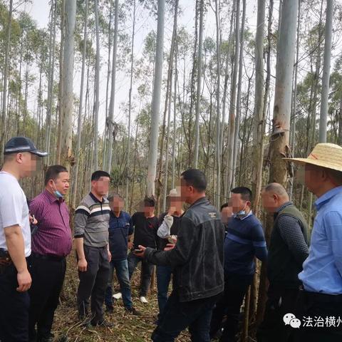 横州房屋出租市场最新分析与趋势预测