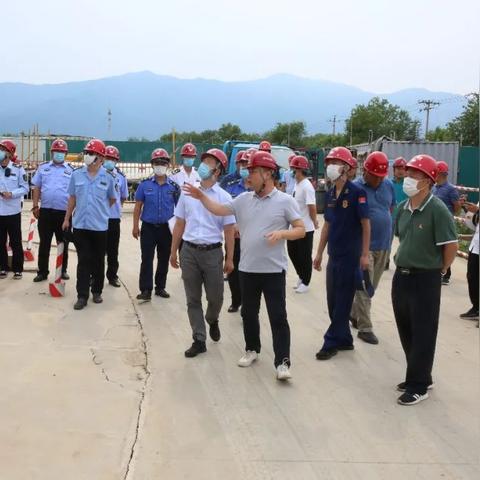 凤凰电气最新动态深度解析