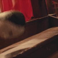 宋小宝最新电影深度解析