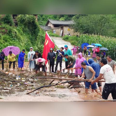 巍山县干部调整最新动态