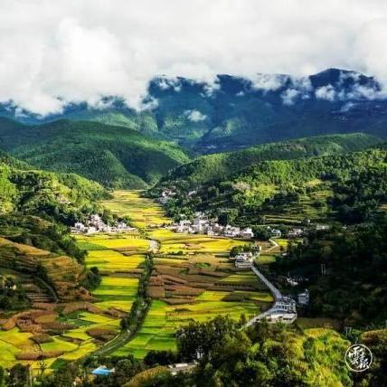 揭秘，2025年抢红包神器，红包收割机带你飞！