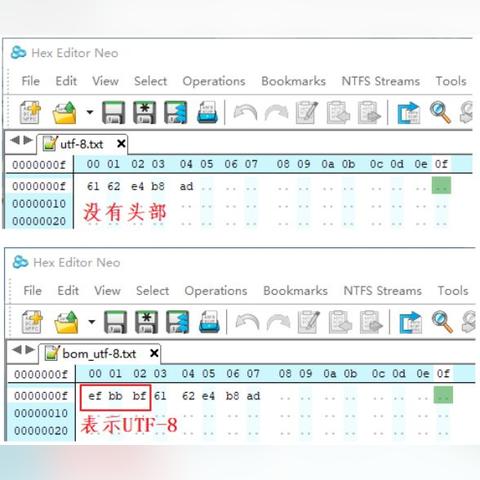香港猜字符第62期解析与预测