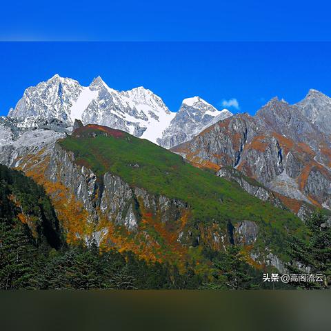 合体双修零零章最新更新内容