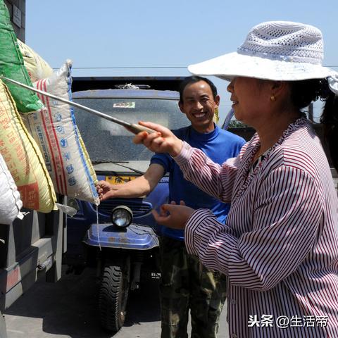 赤峰谷子今日报价及市场走势分析