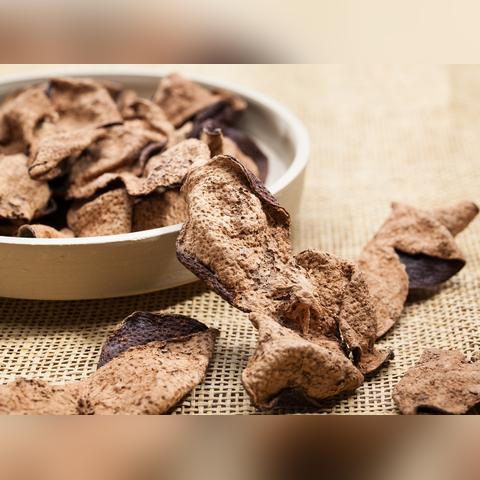 茯苓半夏最新作品,自然与科技的融合之美探索