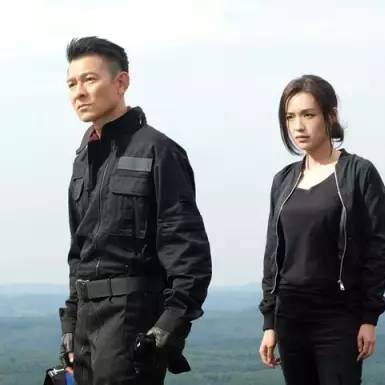 濑户早妃新作深度解析,作品内涵与特色探究