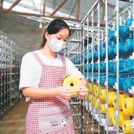 邢台市最新规划图深度解析，未来蓝图与数据揭秘