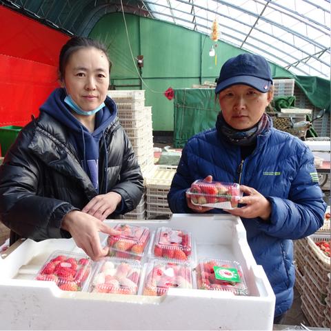 围场女工招聘最新信息