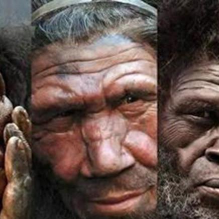 美国疱疹二型最新研究进展综述