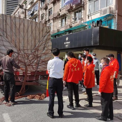 聊城西葫芦最新市场行情分析