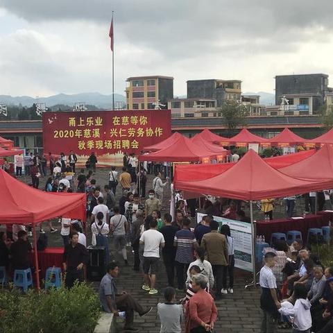 兴仁在线最新招聘信息解析