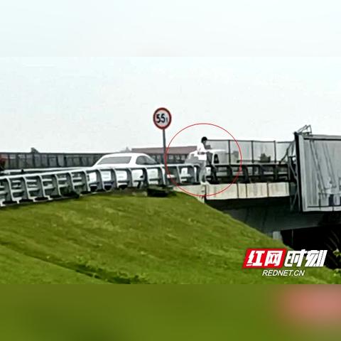 常德斗姆湖最新消息更新