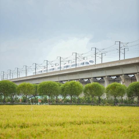 塘沽西区最新招聘信息全面解析