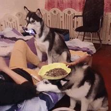 老公要抱抱最新章节，情感升温的瞬间