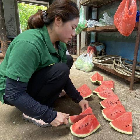 沈阳西瓜价格行情最新分析