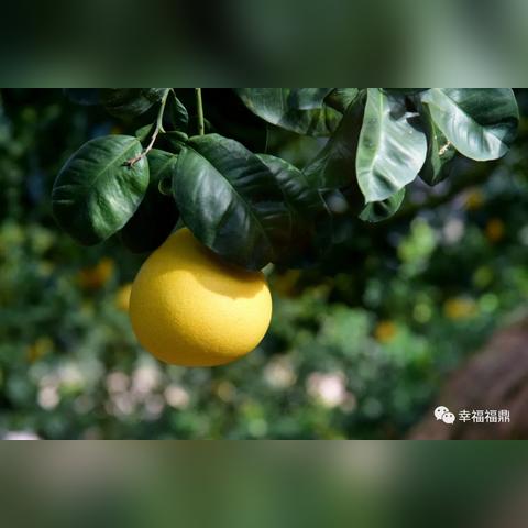 盘山新县城招工信息大解析，最新岗位一览