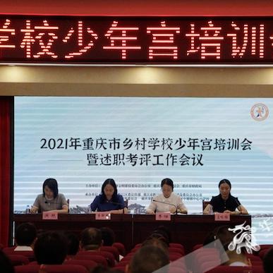 新国珍图片大全，展示与详细解析