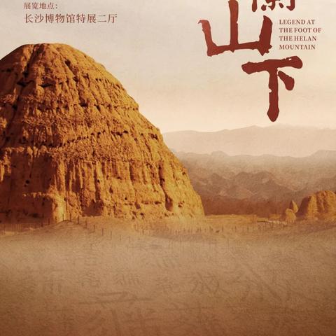 新国珍图片大全,展示与详细解析