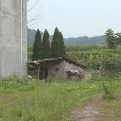 南溪区新任领导名单公示出炉