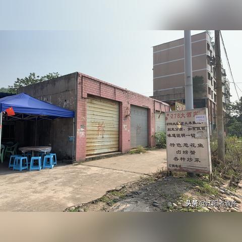 泸州茜草，最新发展概况