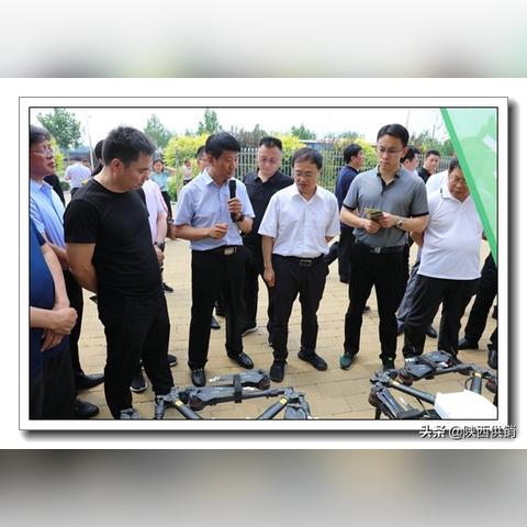 唐山供销班子成员概览及工作动态更新