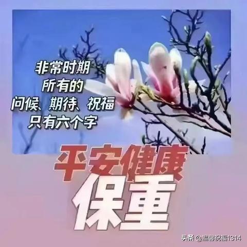 美多多广场舞视频，舞动健康，传递快乐