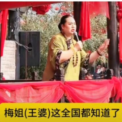 边玉洁变性最新动态及影响，数据支撑探讨