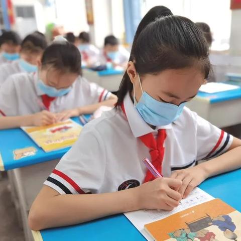 漯河新区未来发展规划详解,最新蓝图揭秘