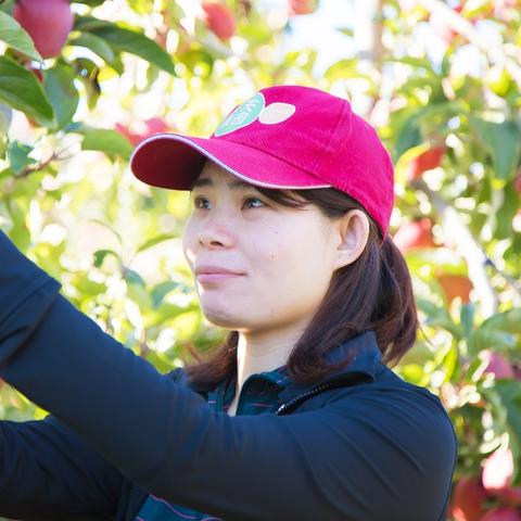 公司新闻 第74页