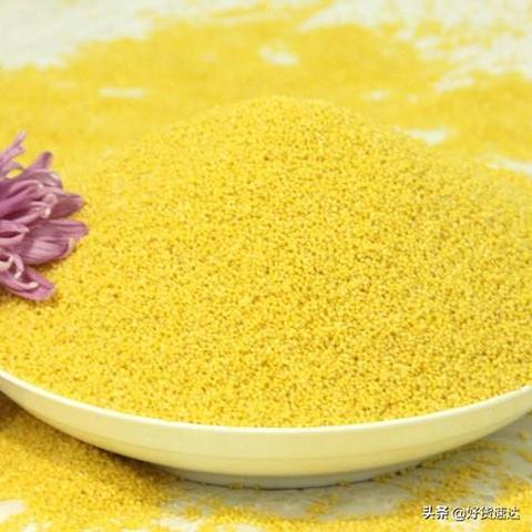 朝阳谷子价格行情最新分析