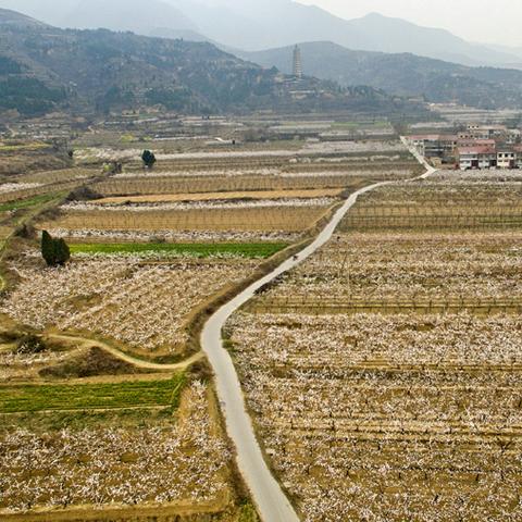 乡村春色最新章节及内容概述