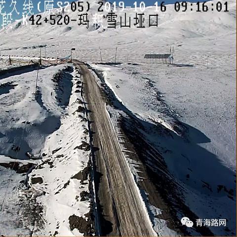 国道219线实时路况报告更新通知