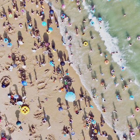 椰风浪琴最新房价走势分析