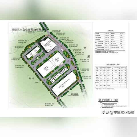 柘荣太子参最新行情分析简报