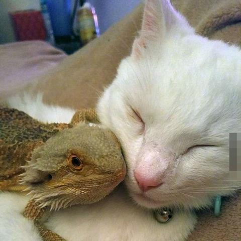 绝地求生新武器伤害解析攻略