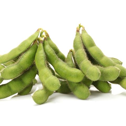 最新毛豆收获机技术革新及实战应用