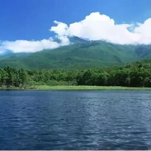 青龙湖别墅最新房价解析