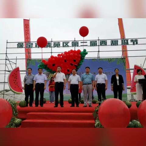 河北青苑西瓜报价及市场解析