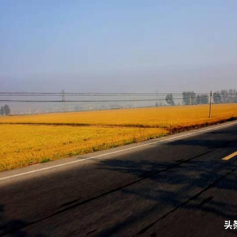 阜宁最新发展动态,聚焦地方新面貌