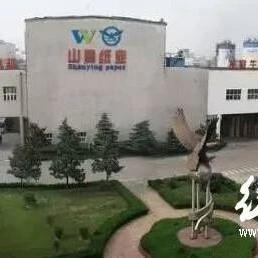 山鹰纸业废纸价格动态解析