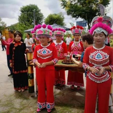 村女蜕变之旅，最新章节揭示希望之光