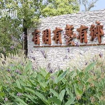 崇明集中居住最新动态