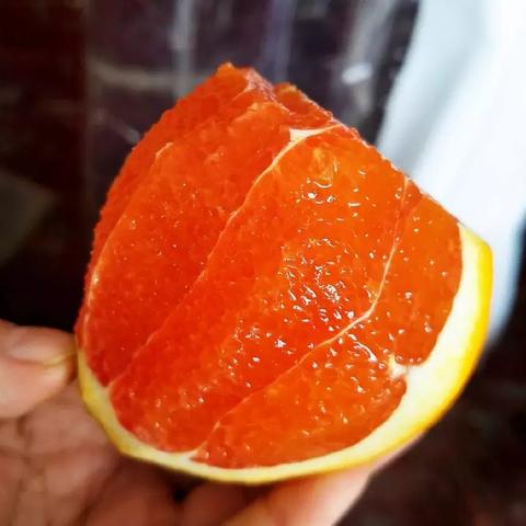 大橙子皮肤展开图全新详解