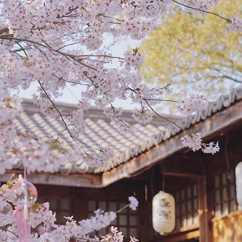 太湖105国道最新消息报道