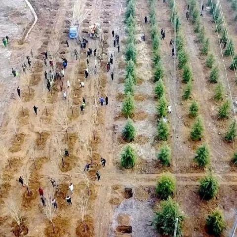 卢氏城区最新规划布局亮相