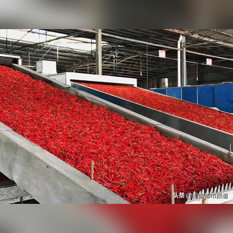 漯河大蒜价格走势分析